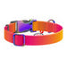 Nylon collar with QR code for Waudog gradient dog orange size XL - Walking and transportation<<<Pets<<<InnproXML