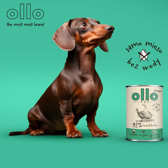 OLLO Umami Goose and turkey - wet dog food - 850g