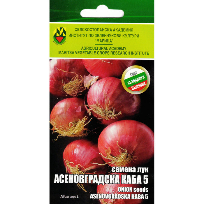 ONION SEEDS ASENOVGRADSKA KABA IZK MARITSA - Семена<<<Семена луковици и разсад<<<Градина<<<Praktiker