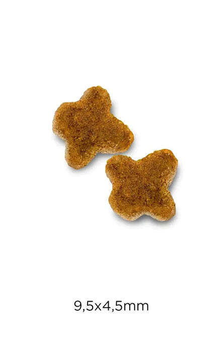 OPTIMANOVA Cat Kitten Chicken & Rice - dry cat food - 2kg