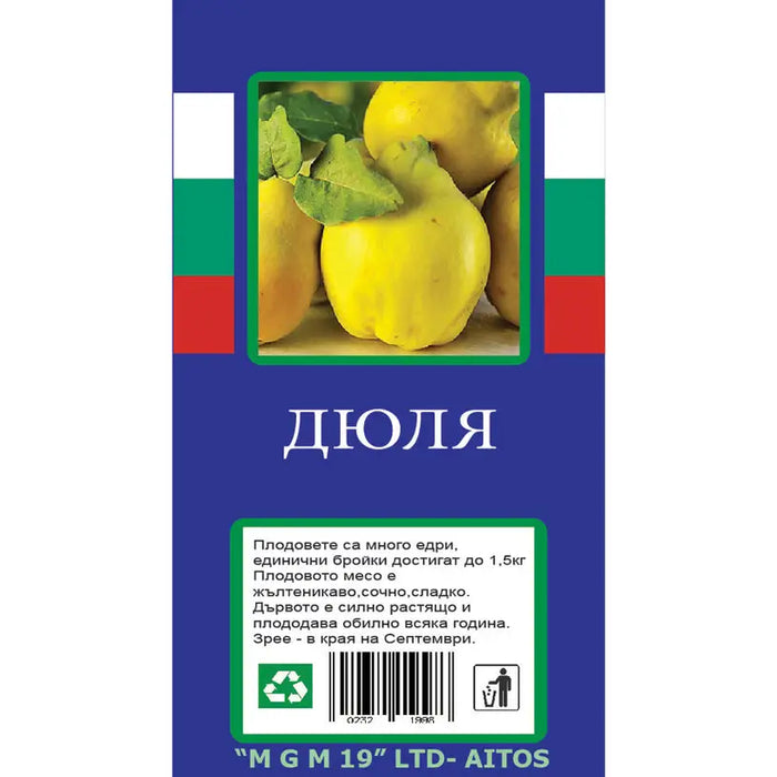 PACKED ROOT QUINCE - Овошки<<<Външни растения<<<Градина<<<Praktiker