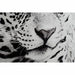 Painting DKD Home Decor Aluminium Crystal 100 x 2,5 x 100 cm - Декорация и Осветление<<<Дом Градина<<<BigBuy&&&Картини
