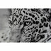 Painting DKD Home Decor Aluminium Crystal 100 x 2,5 x 100 cm - Декорация и Осветление<<<Дом Градина<<<BigBuy&&&Картини