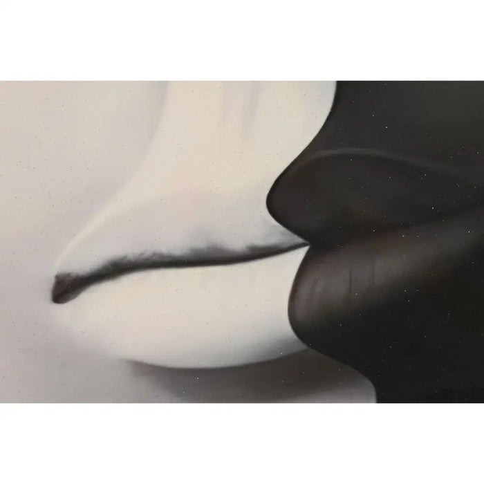 Painting DKD Home Decor Aluminium MDF Wood 80 x 3 x 120 cm 80 x 3,5 x 120 cm - Картини и плакати<<<Декорация и