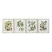 Painting DKD Home Decor Bird Crystal Fir 55 x 2,5 x 70 cm (4 Pieces) - Декорация и Осветление<<<Дом