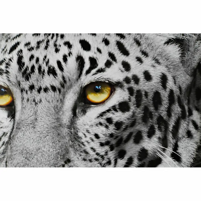 Painting DKD Home Decor Crystal polystyrene 67 x 3 x 93 cm (3 Pieces) - Декорация и Осветление<<<Дом