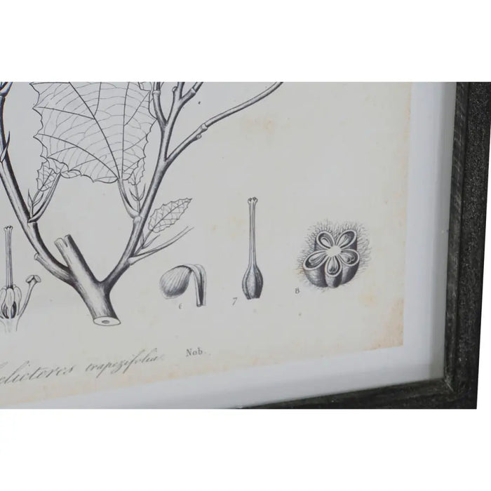 Painting DKD Home Decor Modern Botanical plants 45 x 2,5 x 60 cm (4 Units) - Декорация и Осветление<<<Дом