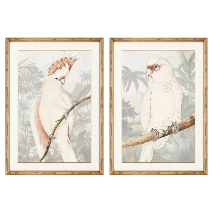 Painting DKD Home Decor Parrot Tropical 50 x 3 x 70 cm (2 Units) - Декорация и Осветление<<<Дом