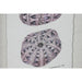 Painting Home ESPRIT Crystal Fir 35 x 2 x 45 cm - Декорация и Осветление<<<Дом Градина<<<BigBuy&&&Картини и