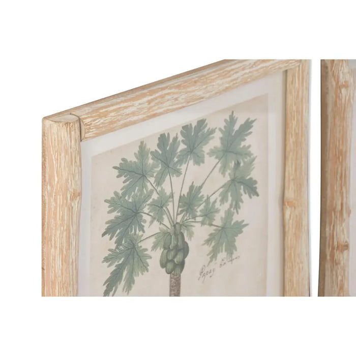 Painting Home ESPRIT Green Beige Tropical (2 Units) - Декорация и Осветление<<<Дом Градина<<<BigBuy&&&Картини и