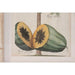 Painting Home ESPRIT Green Beige Tropical (2 Units) - Декорация и Осветление<<<Дом Градина<<<BigBuy&&&Картини и