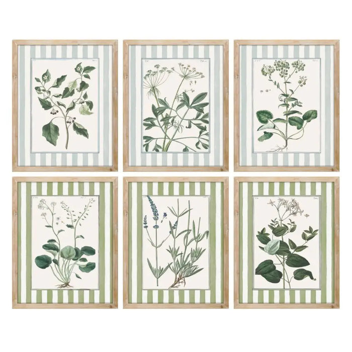 Painting Home ESPRIT White Green Shabby Chic Botanical plants 30 x 2,5 x 40 cm (6 Units) - Декорация и Осветление<<<Дом