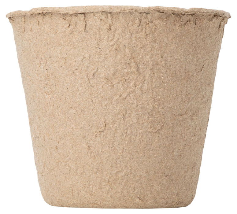 SET OF 5 SEEDLINGS, 10X10CM PALISAD 643747