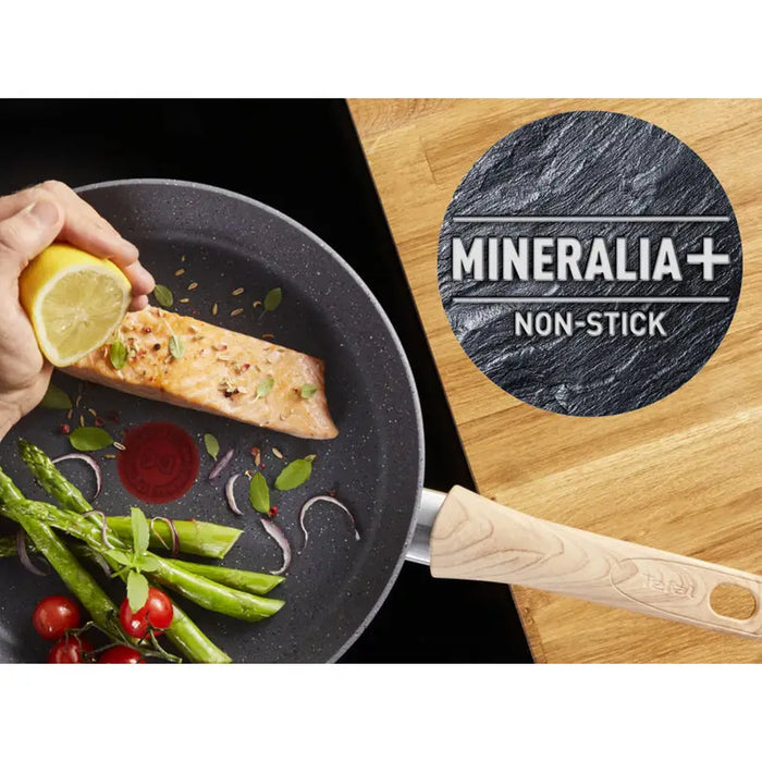 PAN 24 CM NATURAL FORCE TEFAL - Съдове за готвене<<<Домашни потреби<<<Кухня<<<Praktiker