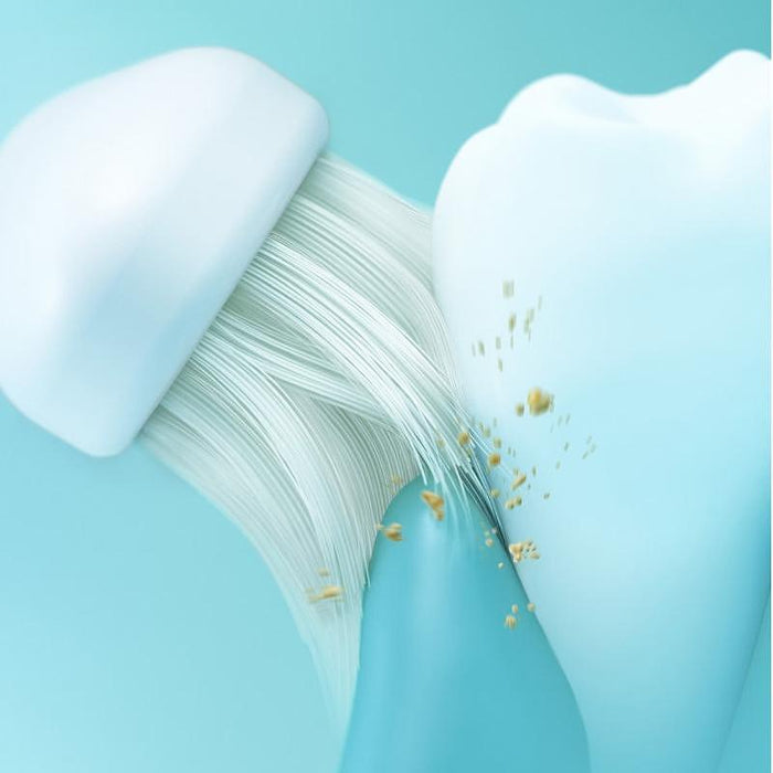 Electric toothbrush Panasonic EW-DM81-G503