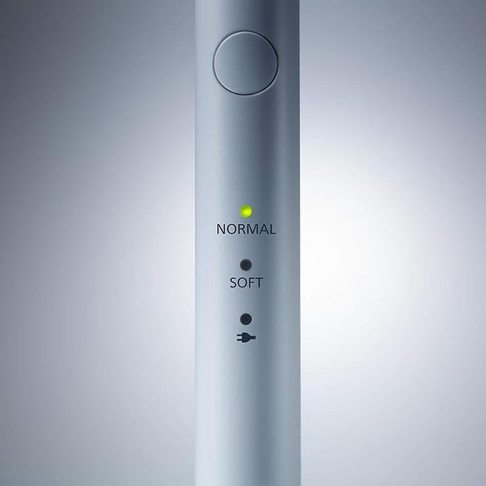 Electric toothbrush Panasonic EW-DM81-K503