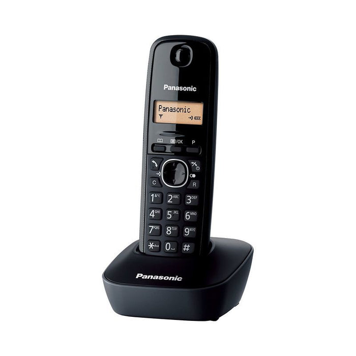 Panasonic KX-TG1611FXH phone