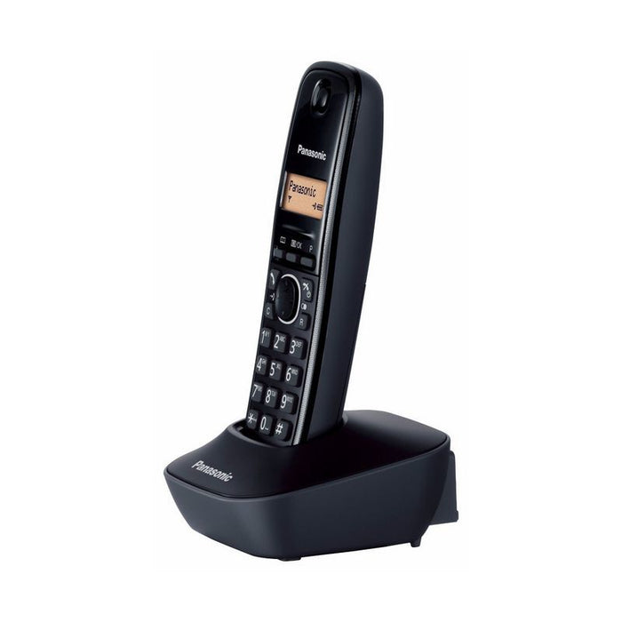 Panasonic KX-TG1611FXH phone