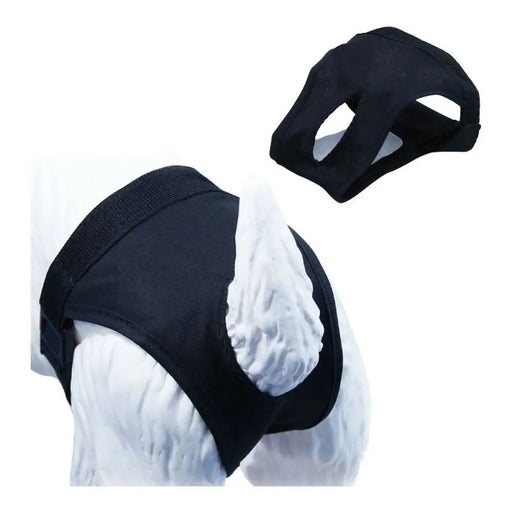 Panties Gloria Slip (24-31 cm) - Домашни Животни<<<Дом Градина<<<BigBuy&&&Здраве и хигиена<<<Домашни Животни<<<Дом