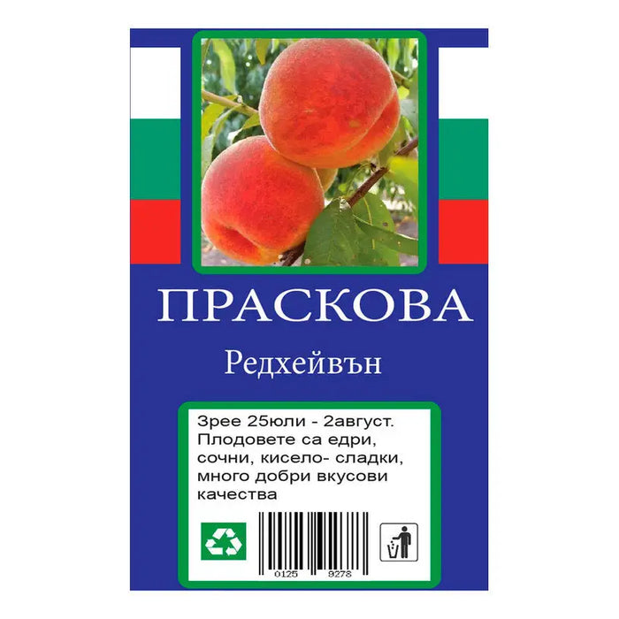 PEACH WITH PACKAGED ROOT - Овошки<<<Външни растения<<<Градина<<<Praktiker