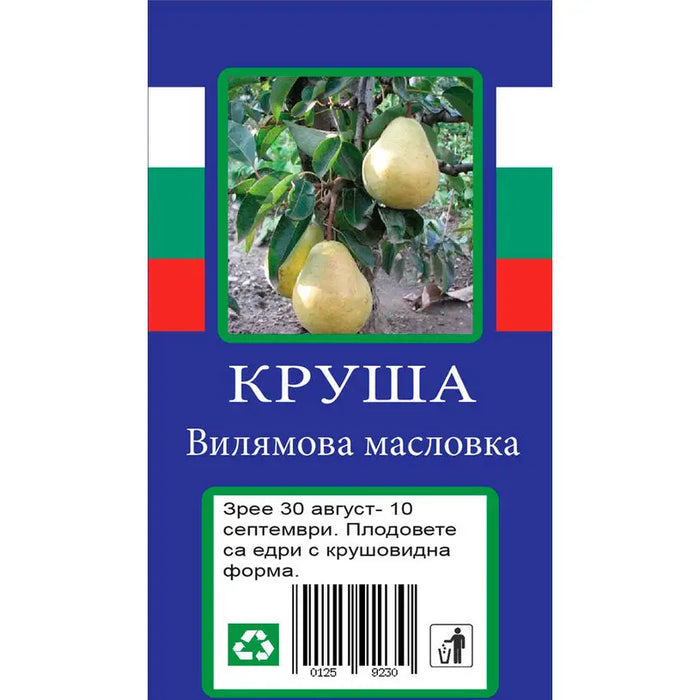 PEAR WITH PACKAGED ROOT - Овошки<<<Външни растения<<<Градина<<<Praktiker