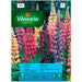 PERENNIAL LUPINE SEEDS VILMORIN - Семена<<<Семена луковици и разсад<<<Градина<<<Praktiker