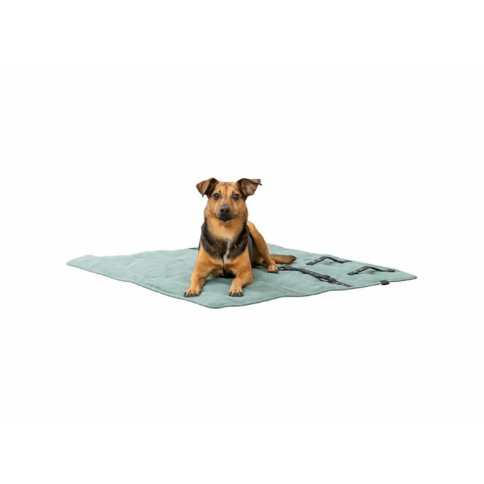 Pet blanket Trixie CityStyle Green Polyester Cotton 80 × 80 cm - Домашни Животни<<<Дом Градина<<<BigBuy&&&Къщички и