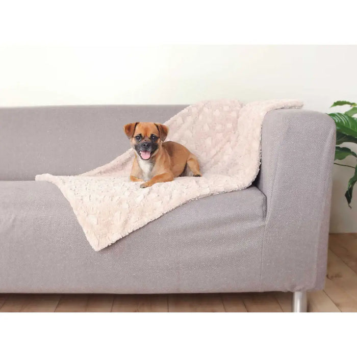 Pet blanket Trixie Cosy Beige Plush 100 × 70 CM - Домашни Животни<<<Дом Градина<<<BigBuy&&&Къщички и легълца<<<Домашни