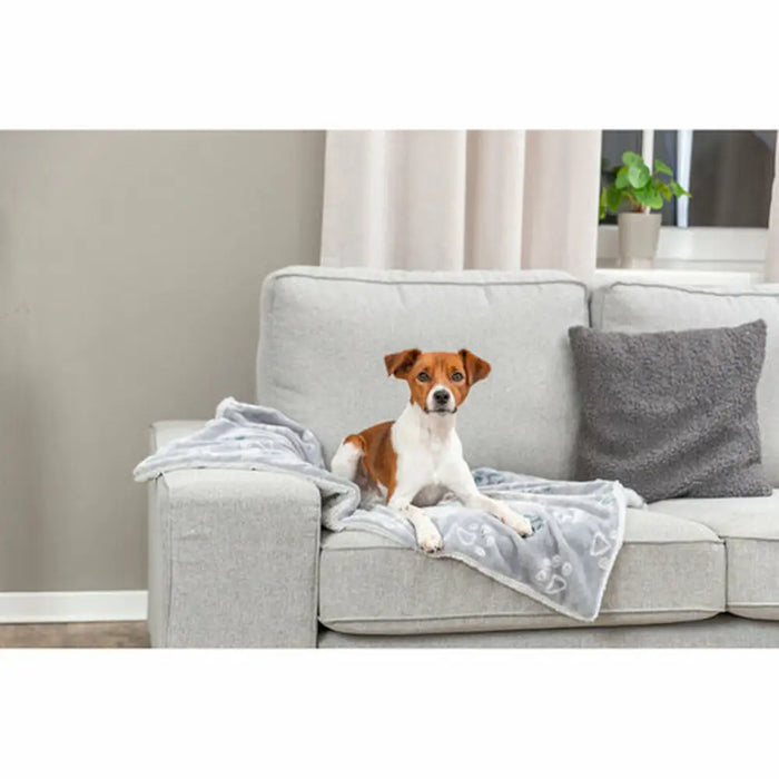 Pet blanket Trixie Jimmy Soft Light grey Polyester Plush 150 × 100 CM - Домашни Животни<<<Дом