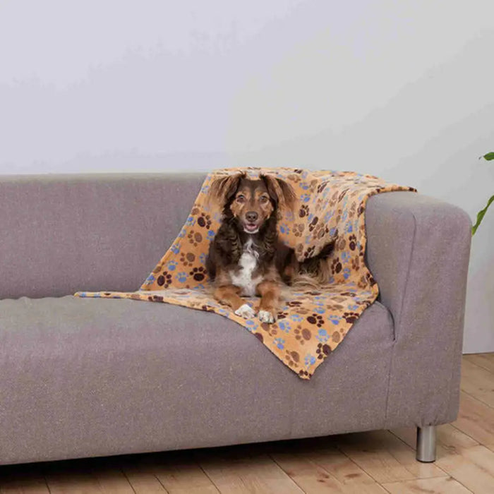 Pet blanket Trixie Laslo Beige 100 × 70 CM - Домашни Животни<<<Дом Градина<<<BigBuy&&&Къщички и легълца<<<Домашни