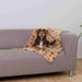 Pet blanket Trixie Laslo Beige 100 × 70 CM - Домашни Животни<<<Дом Градина<<<BigBuy&&&Къщички и легълца<<<Домашни