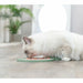 Pet feeding dish Trixie TX-41369 Blue Turquoise Silicone - Домашни Животни<<<Дом Градина<<<BigBuy&&&Купички за храна и