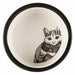 Pet feeding dish Trixie White Black 300 ml 0,3 L Ceramic - Домашни Животни<<<Дом Градина<<<BigBuy&&&Купички за храна и