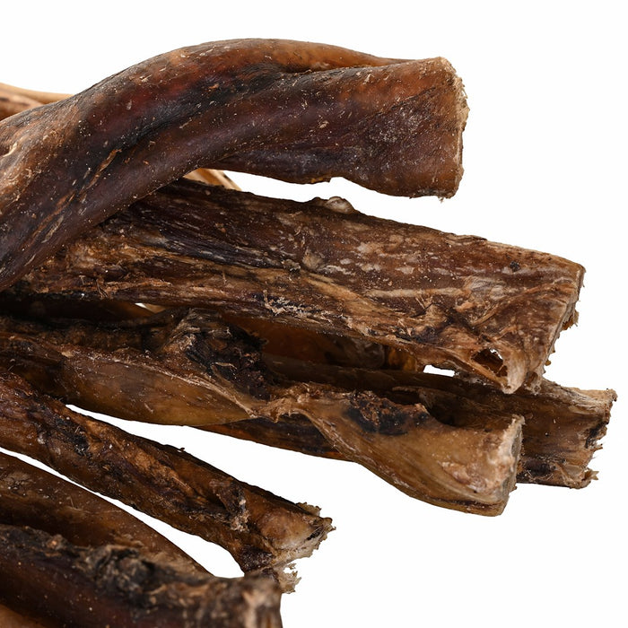 PETITTO Beef pizzle - dog treat - 10