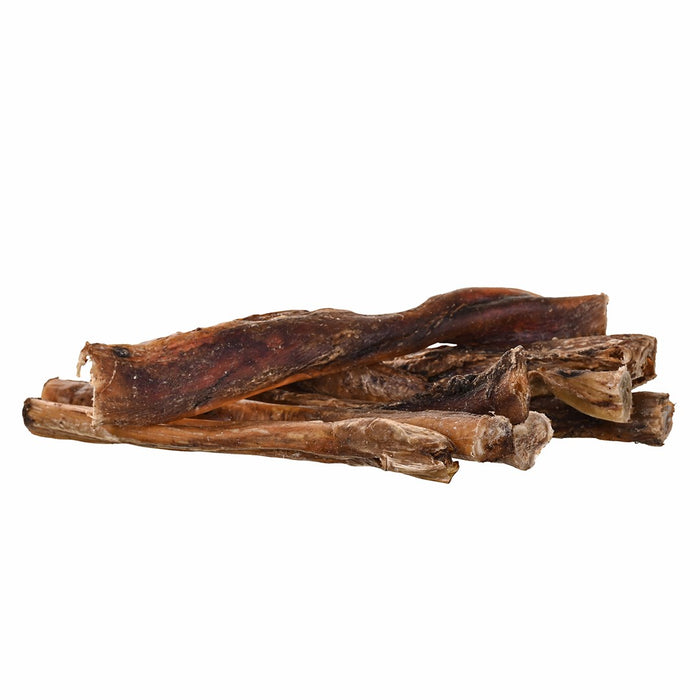 PETITTO Beef pizzle - dog treat - 10