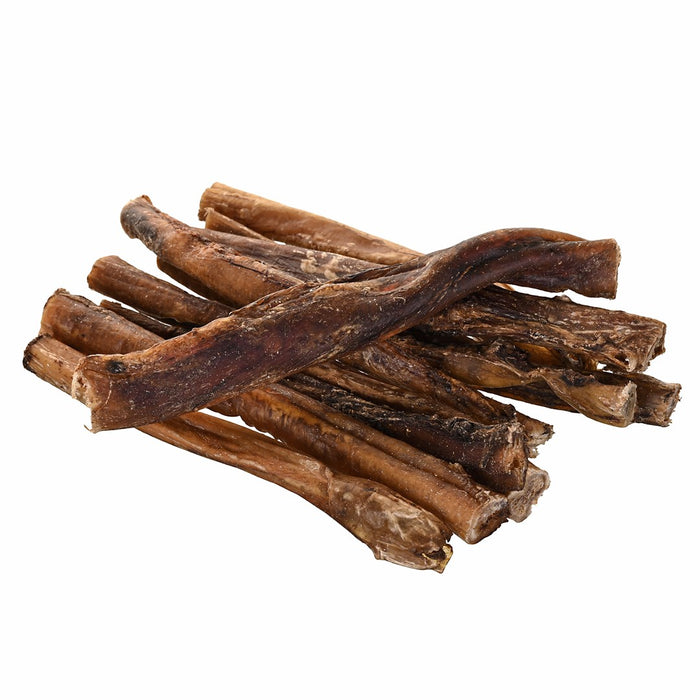 PETITTO Beef pizzle - dog treat - 10