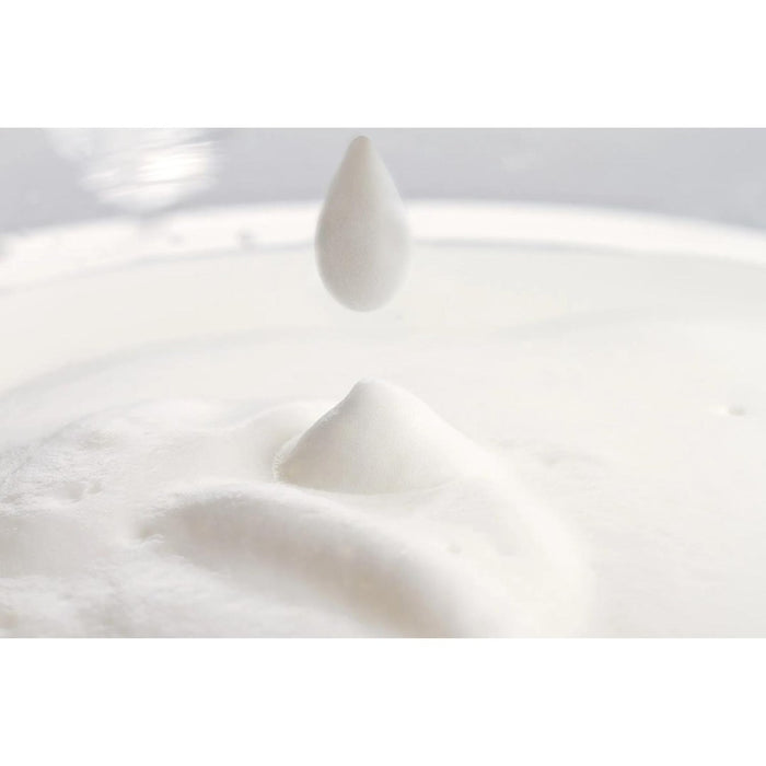 Milk frother PHILIPS CA6500/63