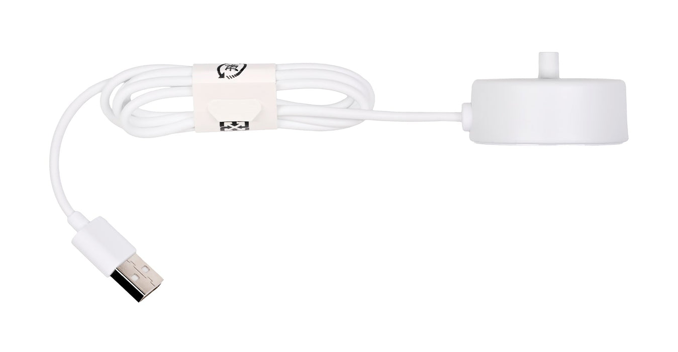 Philips Sonicare 1100 series 1100 Series HX3641/02 Sonic electric toothbrush
