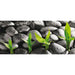PHOTO WALLPAPER HORIZONTAL 202X90 CM. 1Ch. STONES - Фототапети<<<Тапети и фототапети<<<Мебели и