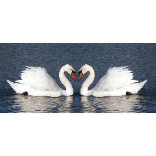 PHOTO WALLPAPER HORIZONTAL 202X90 CM. 1Ch. SWANS - Фототапети<<<Тапети и фототапети<<<Мебели и