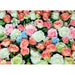 PHOTO WALLPAPER PREMIUM MAXI 160X110 CM. ROSES - Фототапети<<<Тапети и фототапети<<<Мебели и