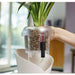 PLANT SUBSTRATE ORCHIDPON 6L LECHUZA - Почви<<<Торове почви и тревни смески<<<Градина<<<Praktiker