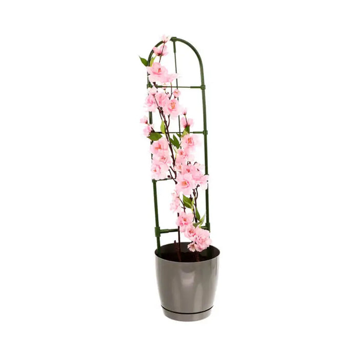 PLANT SUPPORT 60 CM BRADAS TYRD60 - Аксесоари за саксии кашпи и сандъци<<<Саксии кашпи и