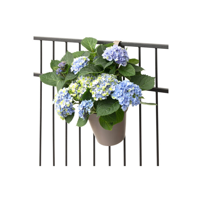 PLASTIC POT F18CM FOR HANGING PLASTECNIC MY MOOD VASO APP