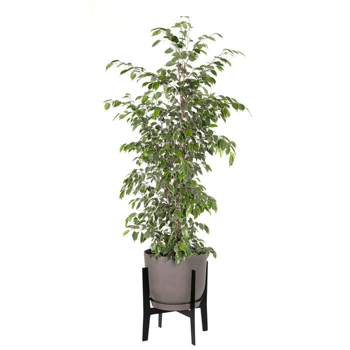 PLASTIC SWING POT Ф30CM PLASTECNIC SWING POT 30