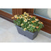 PLASTIC BOX 50CM PLASTECNIC TERRAE BOX - Сандъци<<<Саксии кашпи и цветарници<<<Градина<<<Praktiker&&&Сандъци<<<Саксии