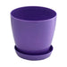 PLASTIC POT F17CM - Саксии<<<Саксии кашпи и цветарници<<<Градина<<<Praktiker&&&Саксии<<<Саксии кашпи и
