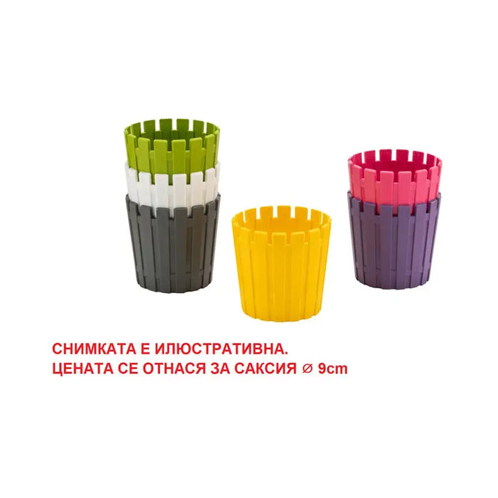 PLASTIC POT Φ6.5CM HD AKASYA CACTUS - Кашпи<<<Саксии кашпи и цветарници<<<Градина<<<Praktiker