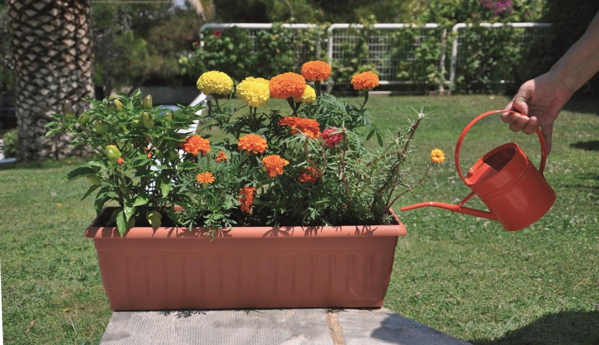 BOX WITH TANK CORFU 60CM