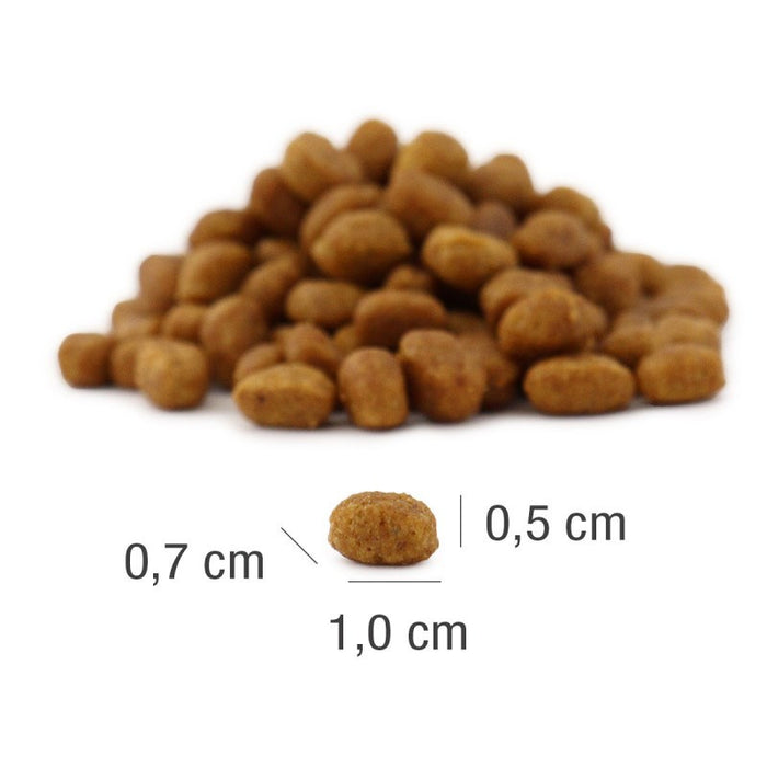 PLATINUM MeatCrisp Adult Fish - dry cat food - 1,5kg